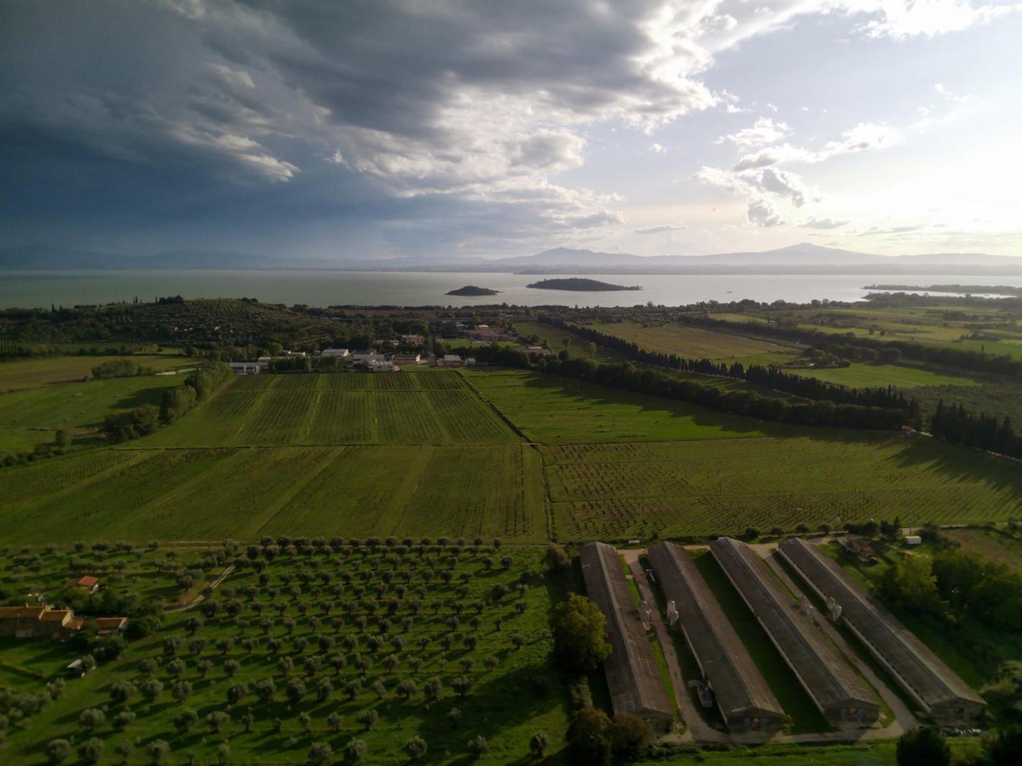 Tra Lago E Collina Passignano sul Trasimeno Εξωτερικό φωτογραφία